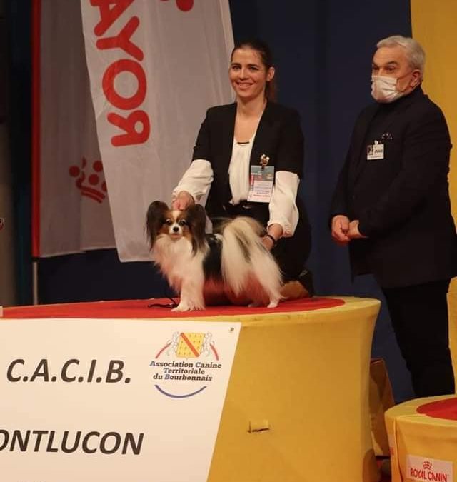 Exposition Canine internationale Montluçon 20/03/22