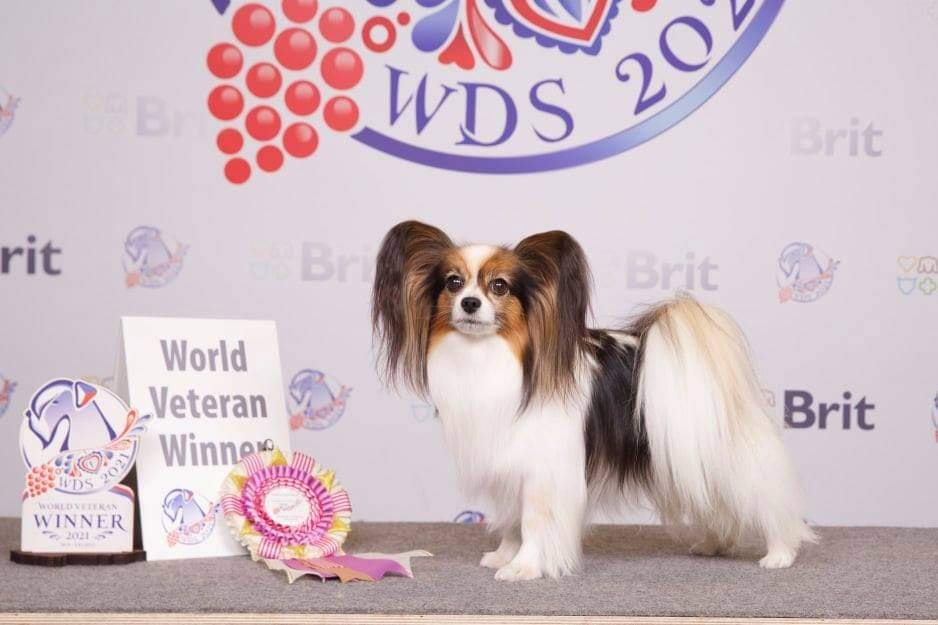 World Dog Show 2021