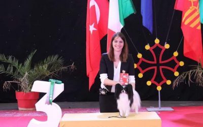 Alès Double expositions canines 2 & 3 avril 2022